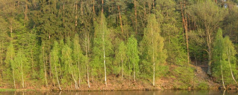 
            Фотография Фристака