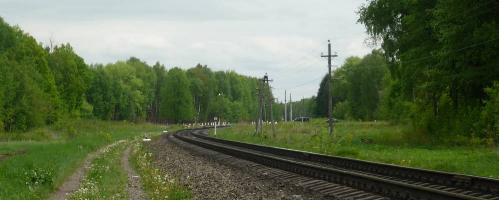 
            Фотография Карпово