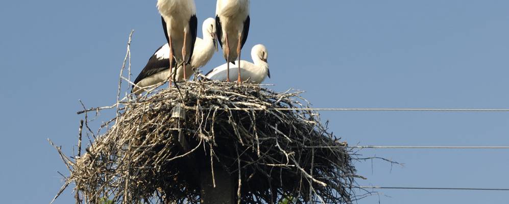 
            Фотография Ясной Поляны