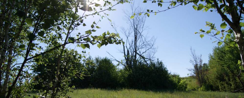 
            Фотография Воробьевки