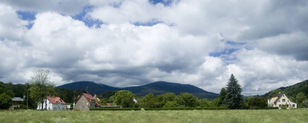 
            Фотография Млады Буки