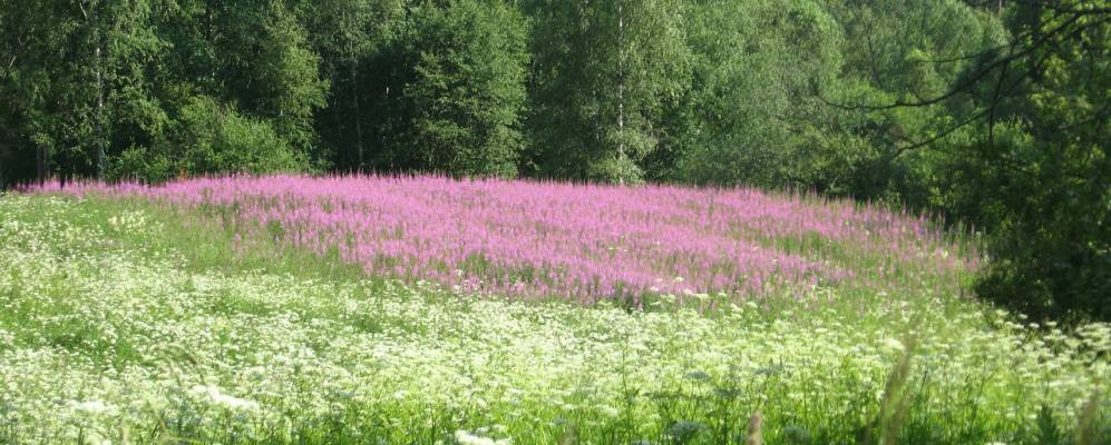Фотография урочища Гаиежи