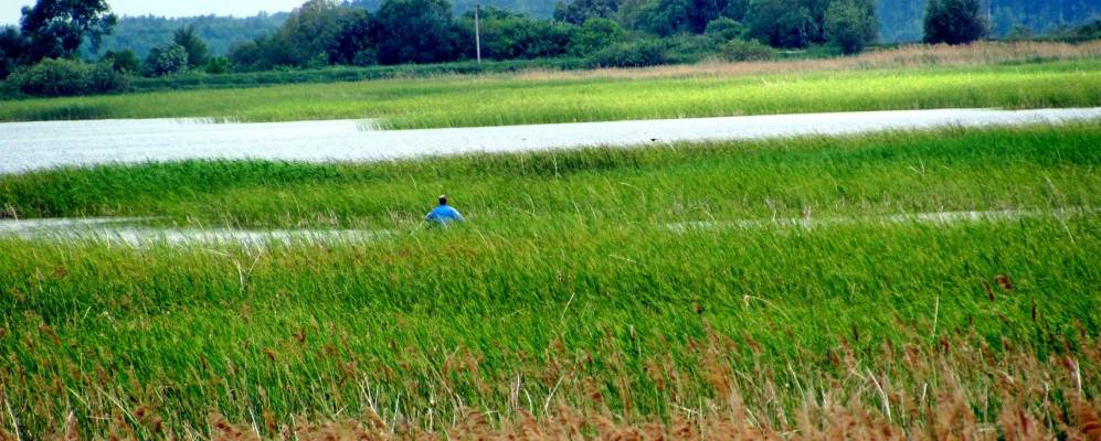 
            Фотография Острова