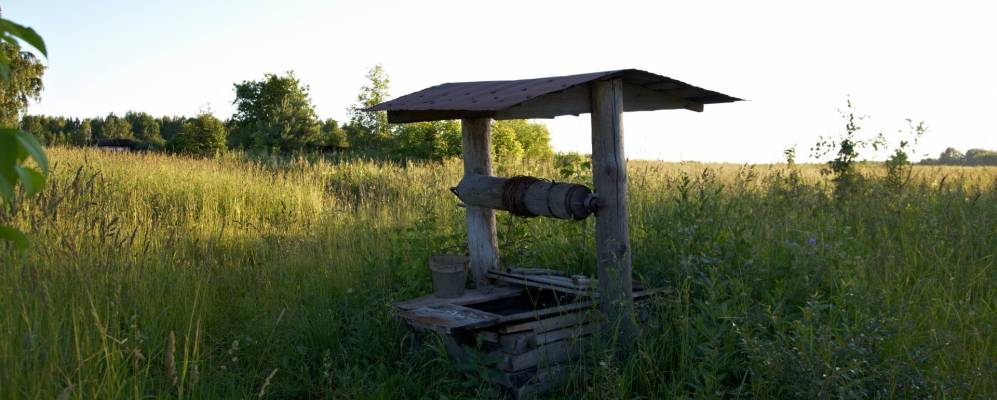 
            Фотография Пестрюнино