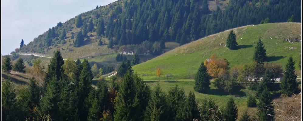 
            Фотография Ревине Лаго