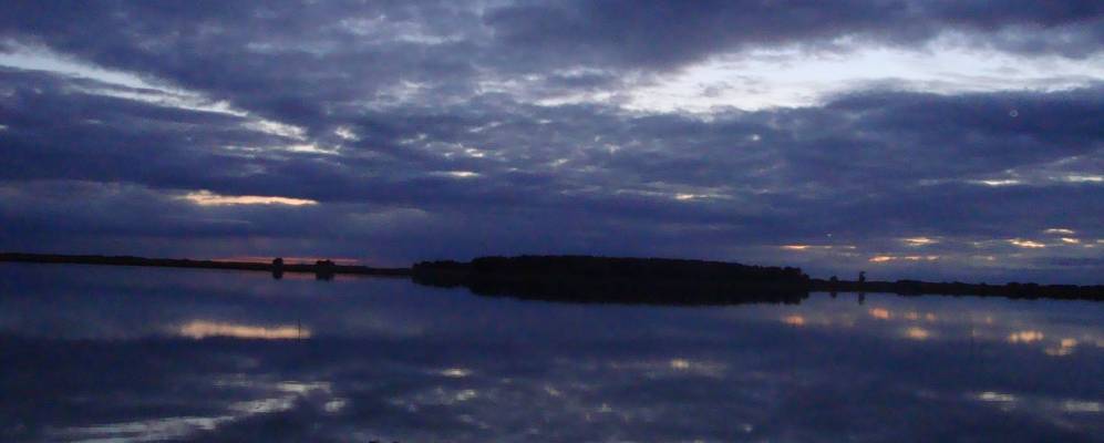 Фотография Баклуш