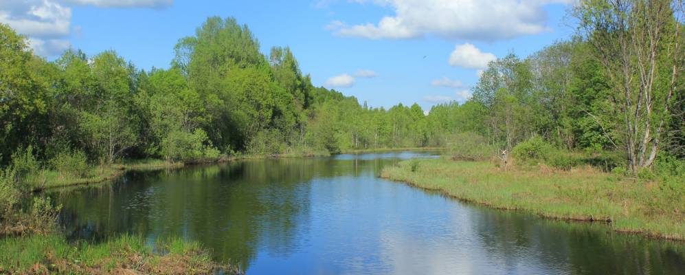 Фотография Кашино