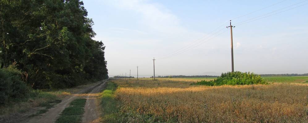 
            Фотография Кошарского