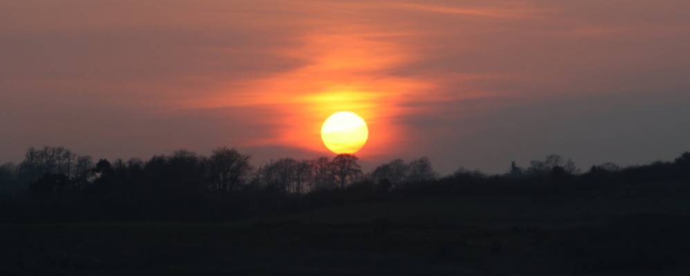 
            Фотография Коалисланда