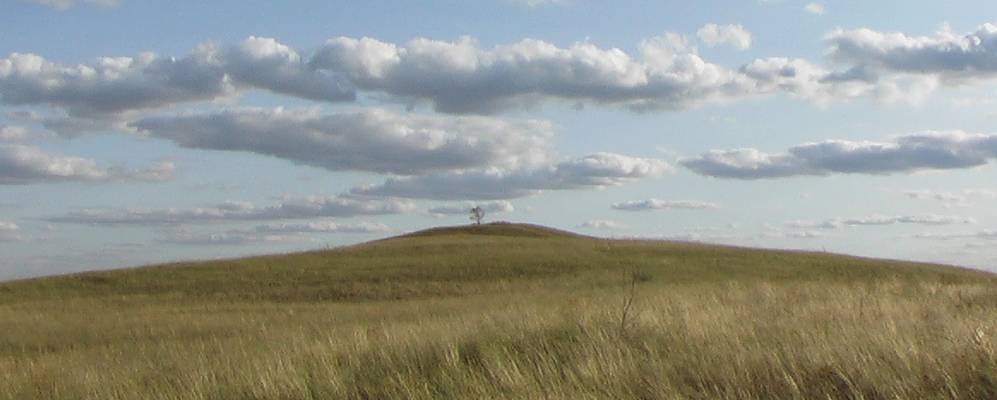 
            Фотография Светлого