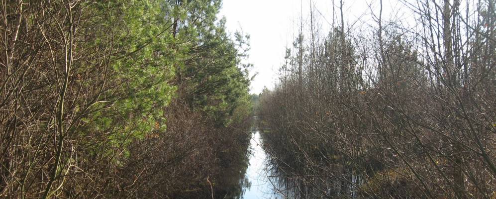 Фотография Отчина