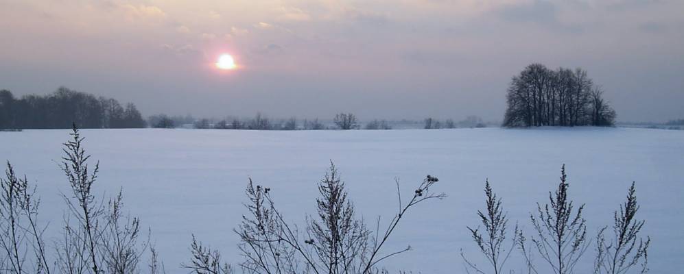 
            Фотография Федотово