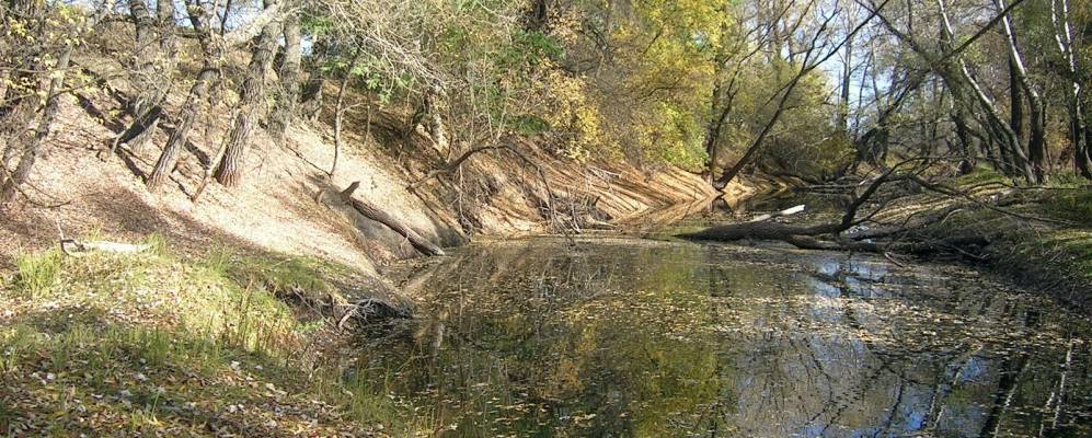 
            Фотография Песковатки