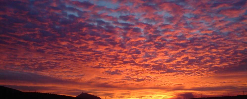 
            Фотография Хамилены