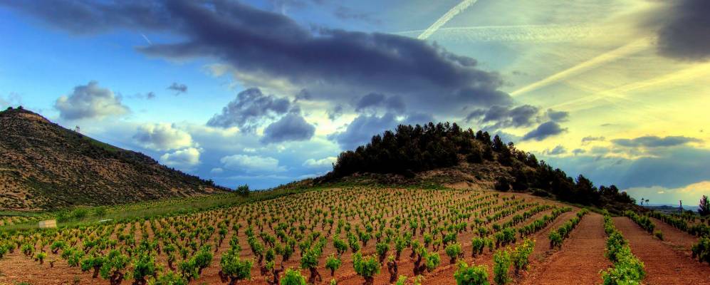 
            Фотография Лапуэбла-де-Лабарка