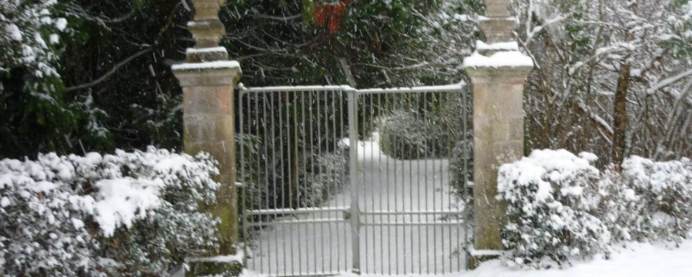 
            Фотография Кузеи