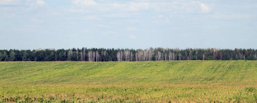 
            Фотография Поникия Ключа