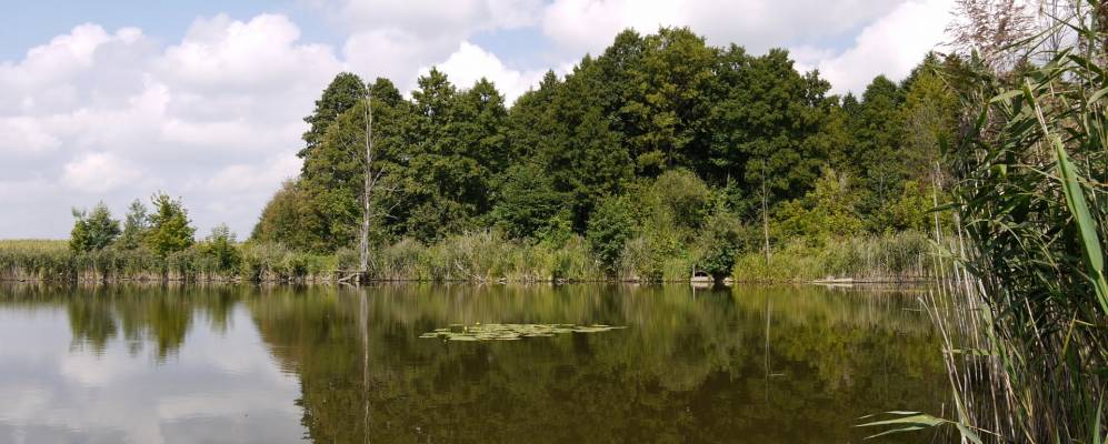 Фотография Лазаревки