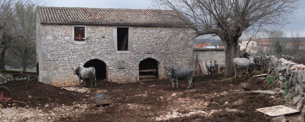 
            Фотография Свети-Ивана