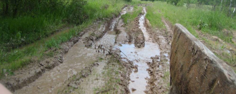 
            Фотография Велисто