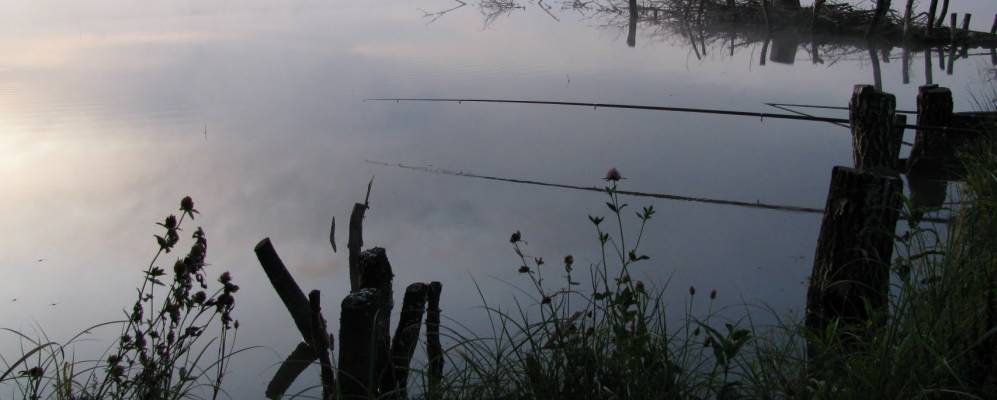 
            Фотография Магнышевки