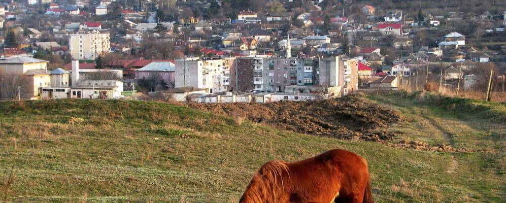 
            Фотография Бабадага