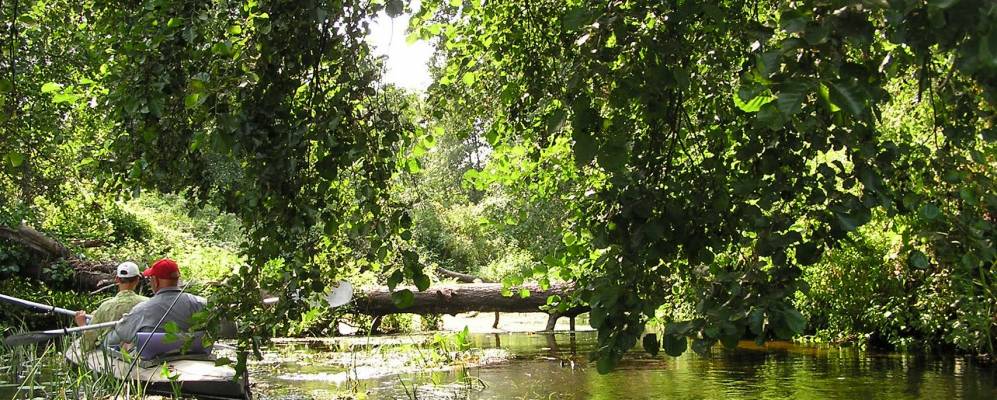 
            Фотография Рыботени