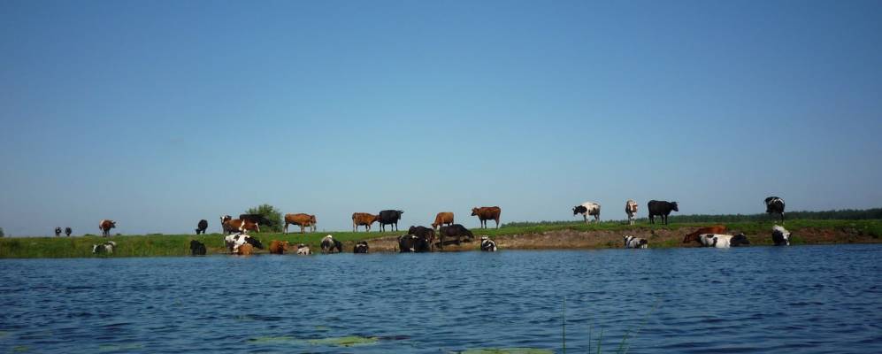 
            Фотография Любешовской Воли