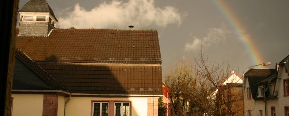 
            Фотография Ланген