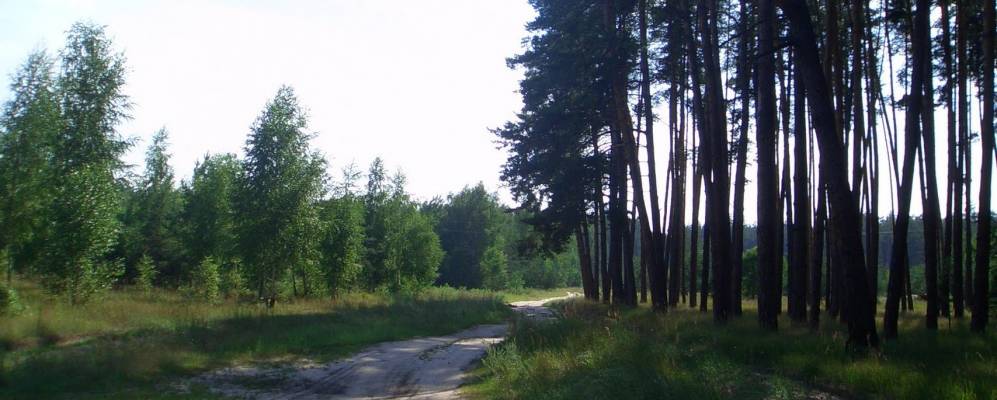 
            Фотография Садового