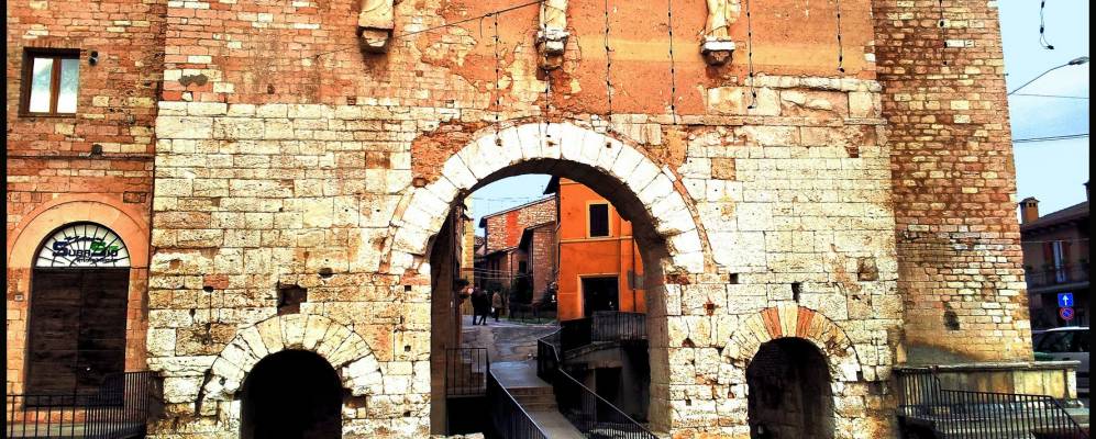 
            Фотография Спелло