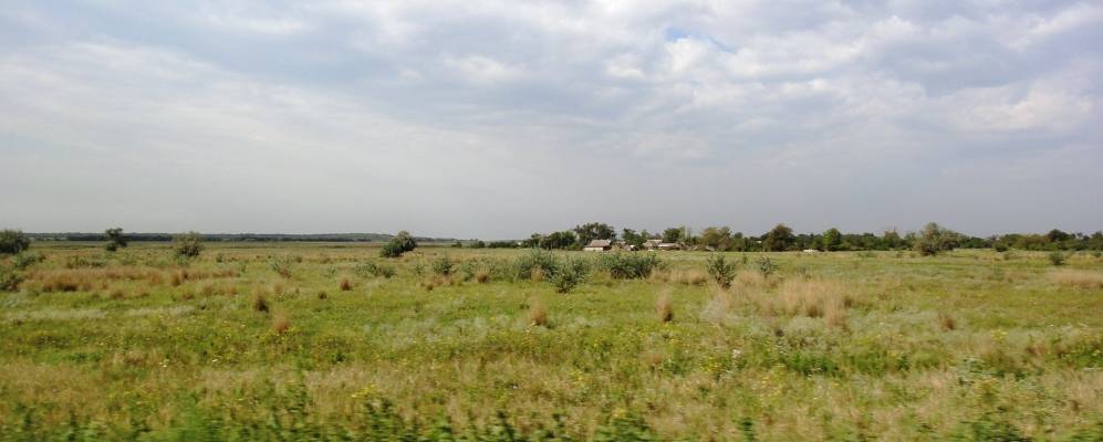 
            Фотография Крупского