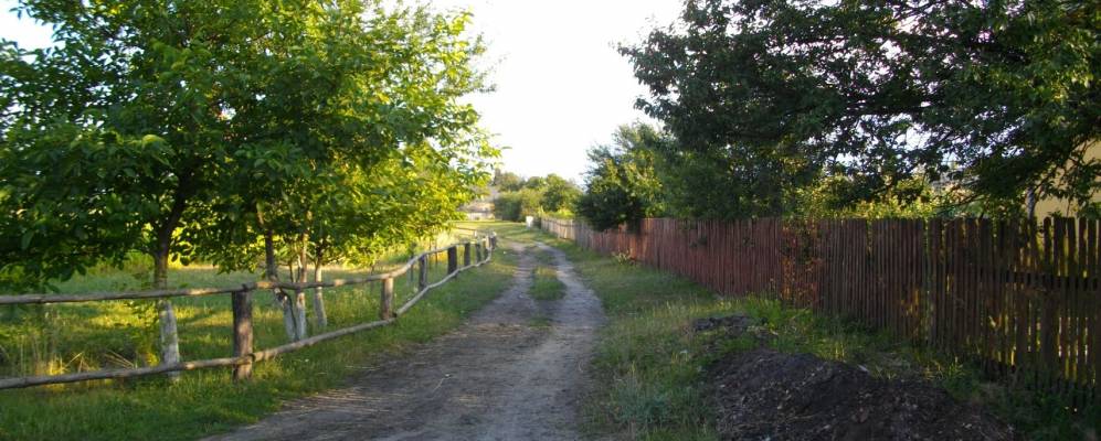 
            Фотография Заборья