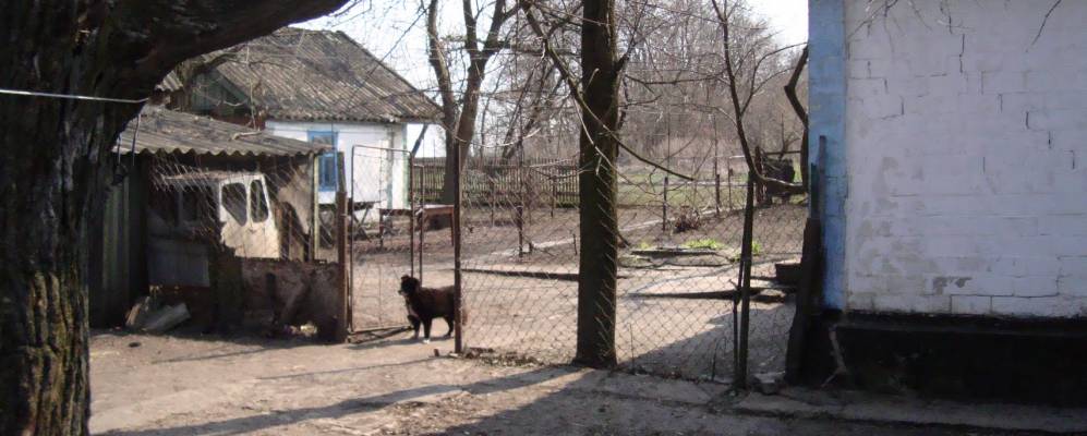 
            Фотография Демурино