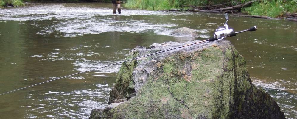 
            Фотография деревни Колокольницы