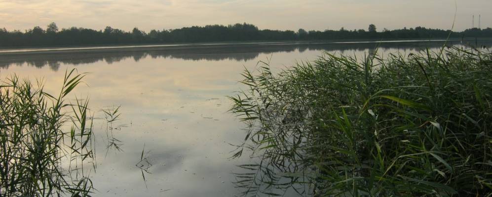 
            Фотография Замошья