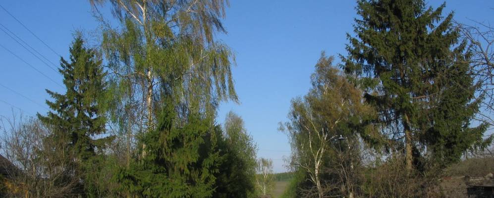 
            Фотография Липовки