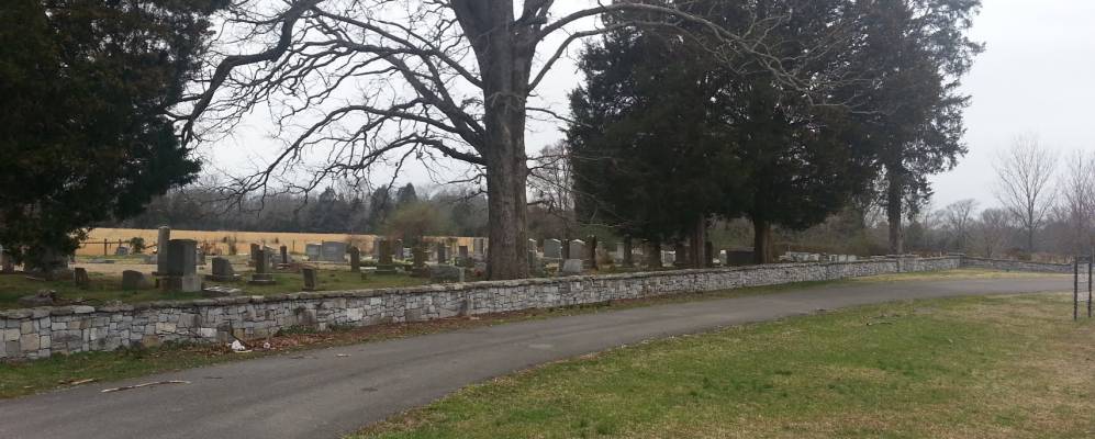 
            Фотография Плэйнвива