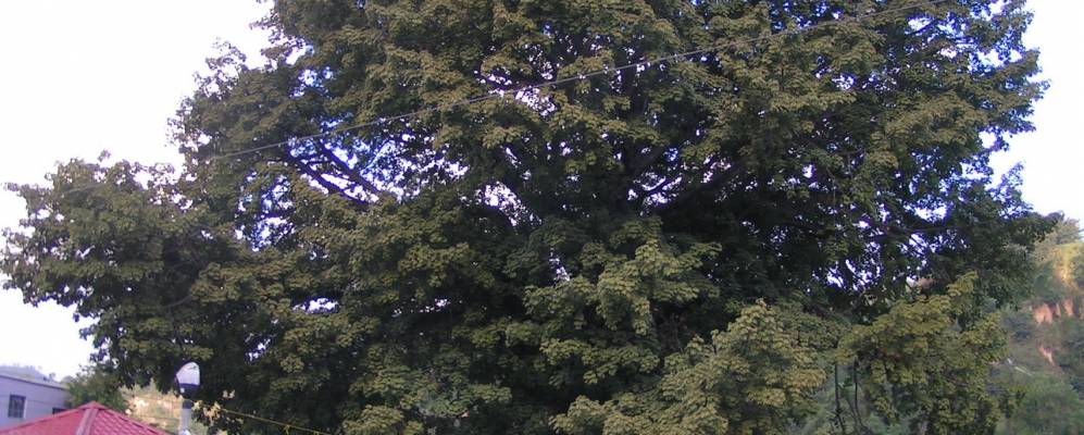 
            Фотография Чинаутлы