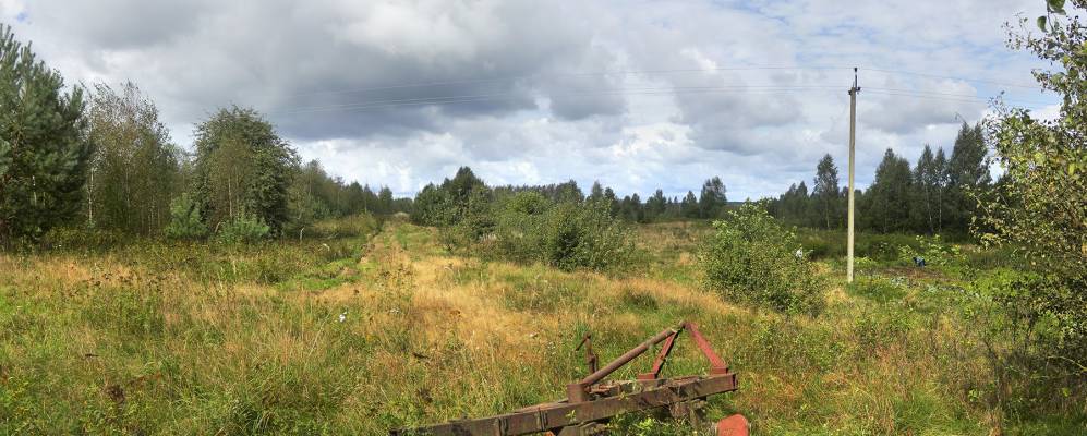 
            Фотография Гнильца