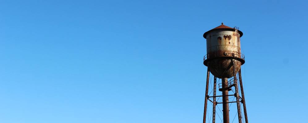 
            Фотография Содди-Дейзи