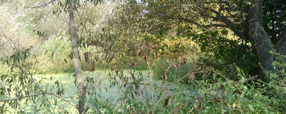 Фотография Лядихово