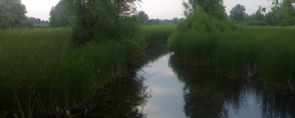 
            Фотография Павловки