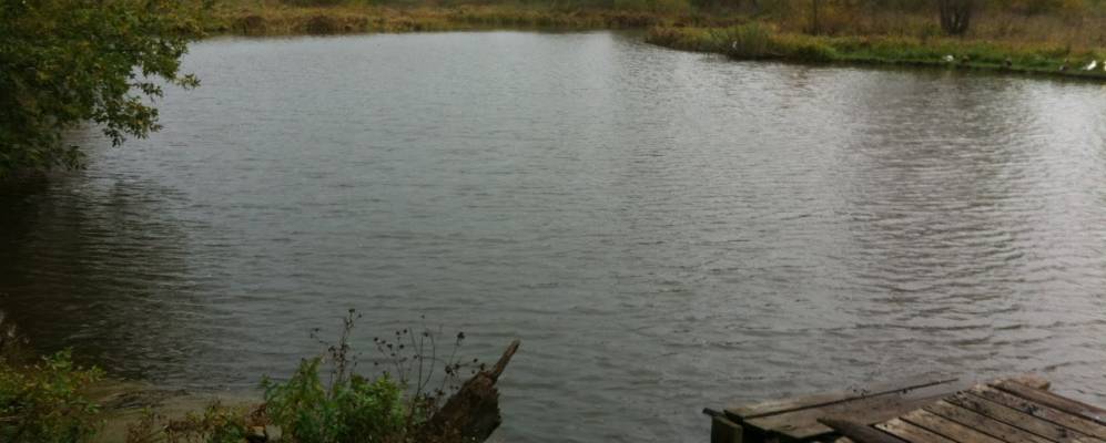 
            Фотография Грошевского