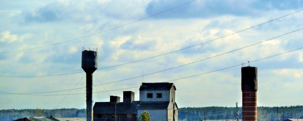 
            Фотография Шогринского