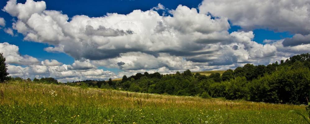 
            Фотография Кривухи