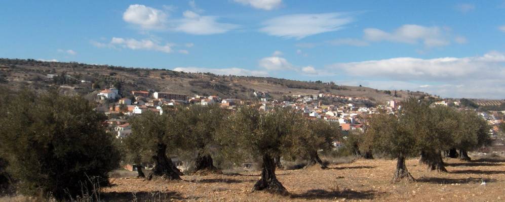 
            Фотография Вальдилечы
