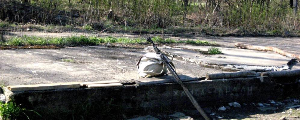 
            Фотография Дубинино