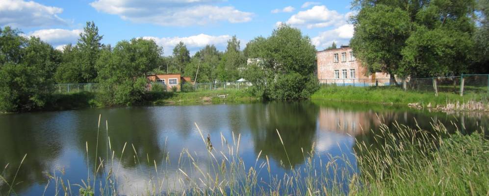 
            Фотография Никиткино