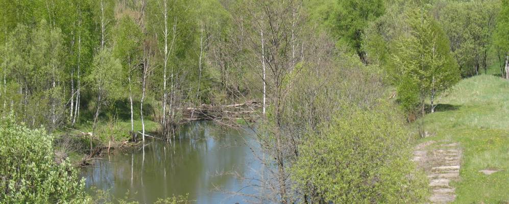 Фотография Плюсково